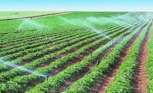 干骚比农田高 效节水灌溉